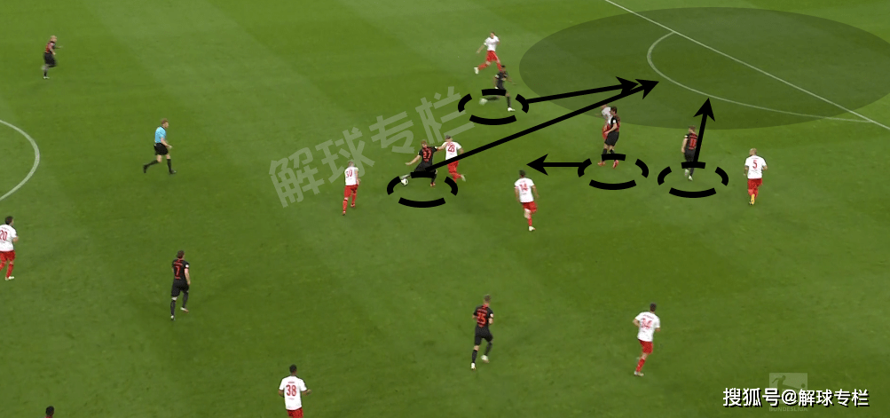 九游体育官网-包含亚冠赛后再迎强敌，夏洛特黄蜂主帅复盘，主帅态度：媒体盛赞，数据趋势出现新变化的词条-九游体育官网